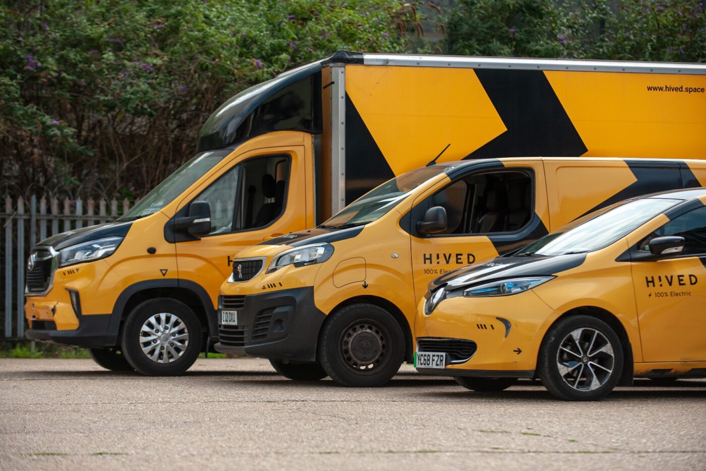 Image: HIVED