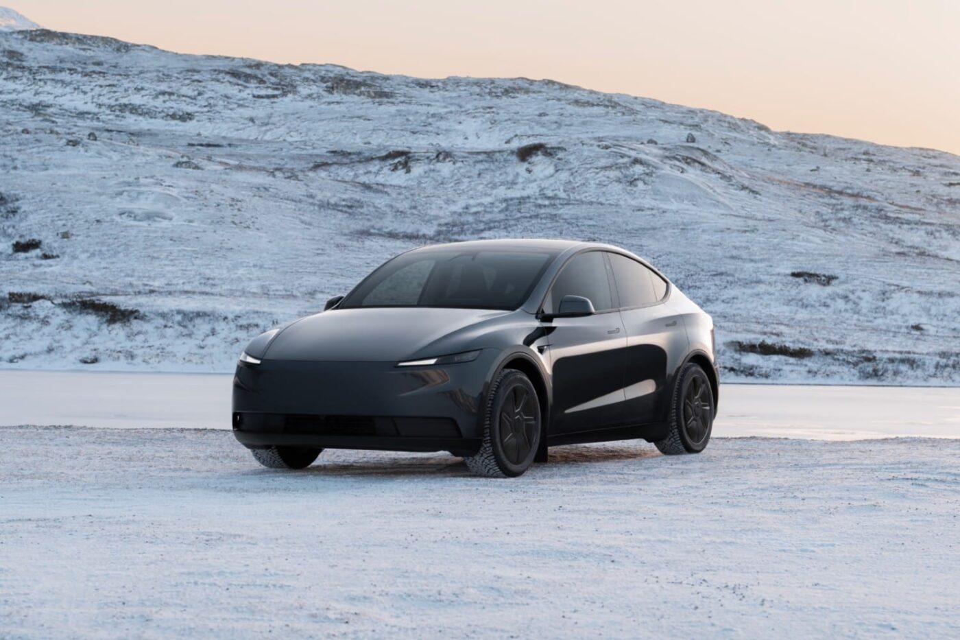Tesla model y standard long range rwd