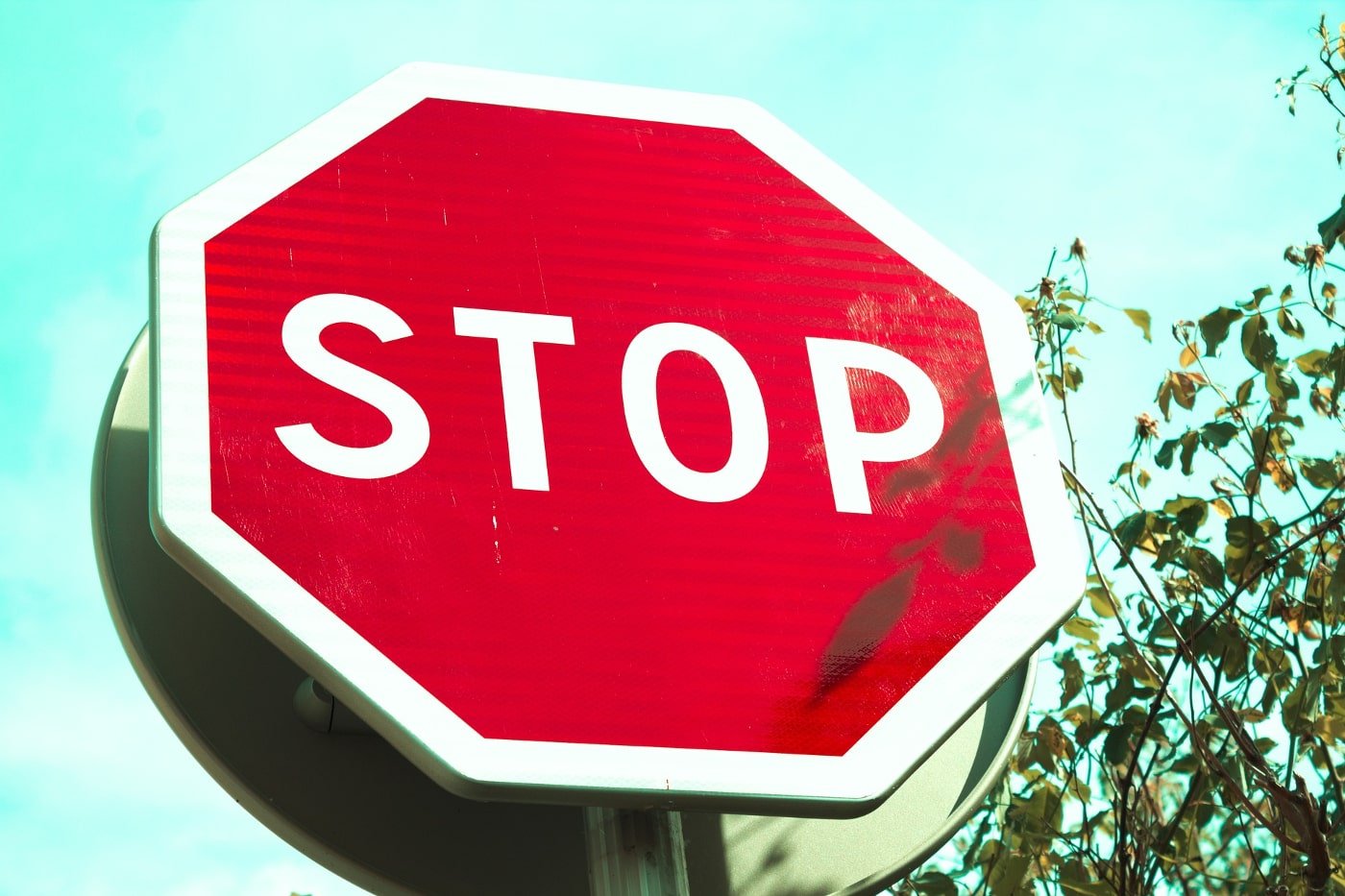 Route Panneau Stop Arret Circulation Voiture Transport Fin