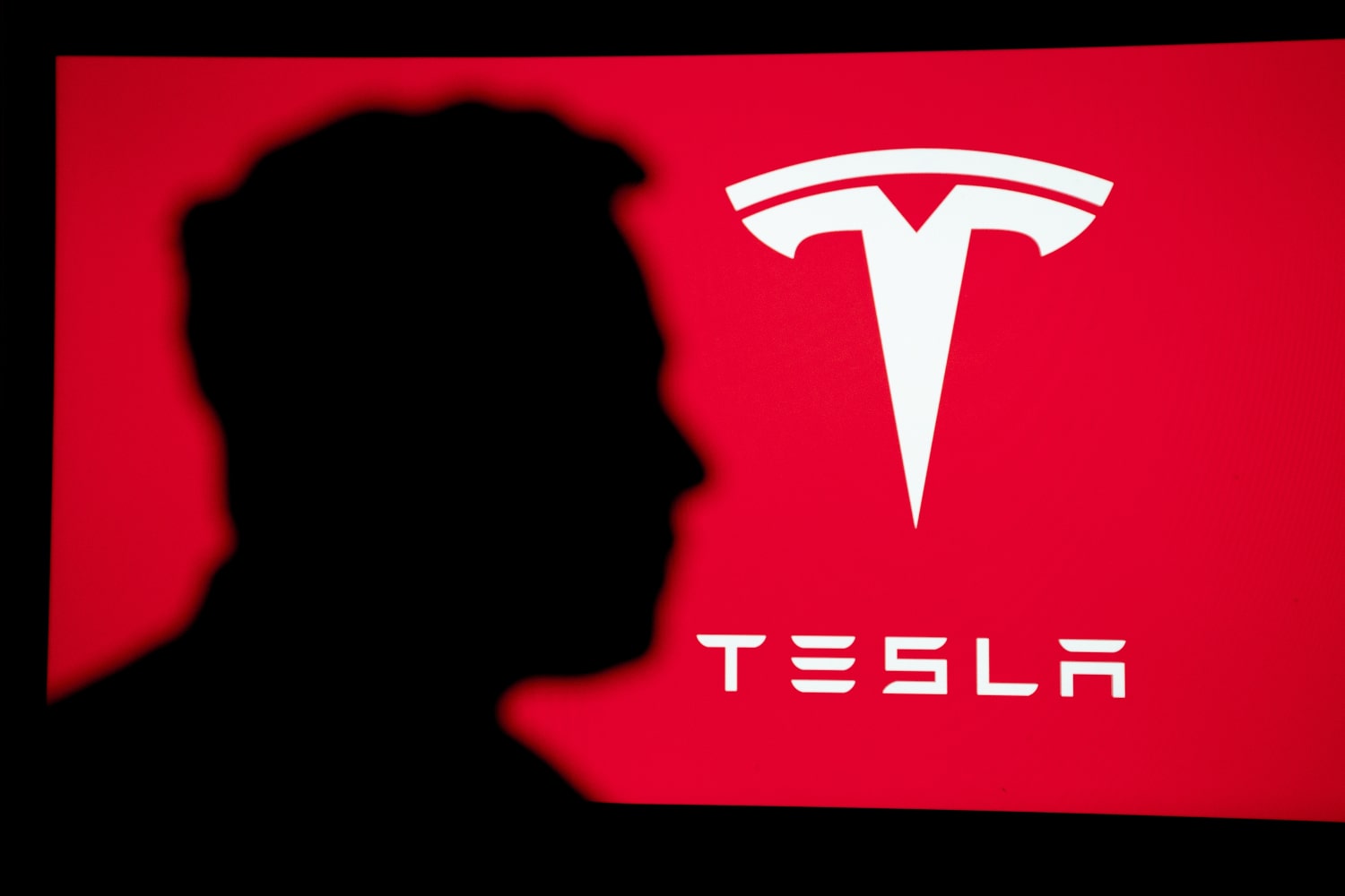 Tesla Musk