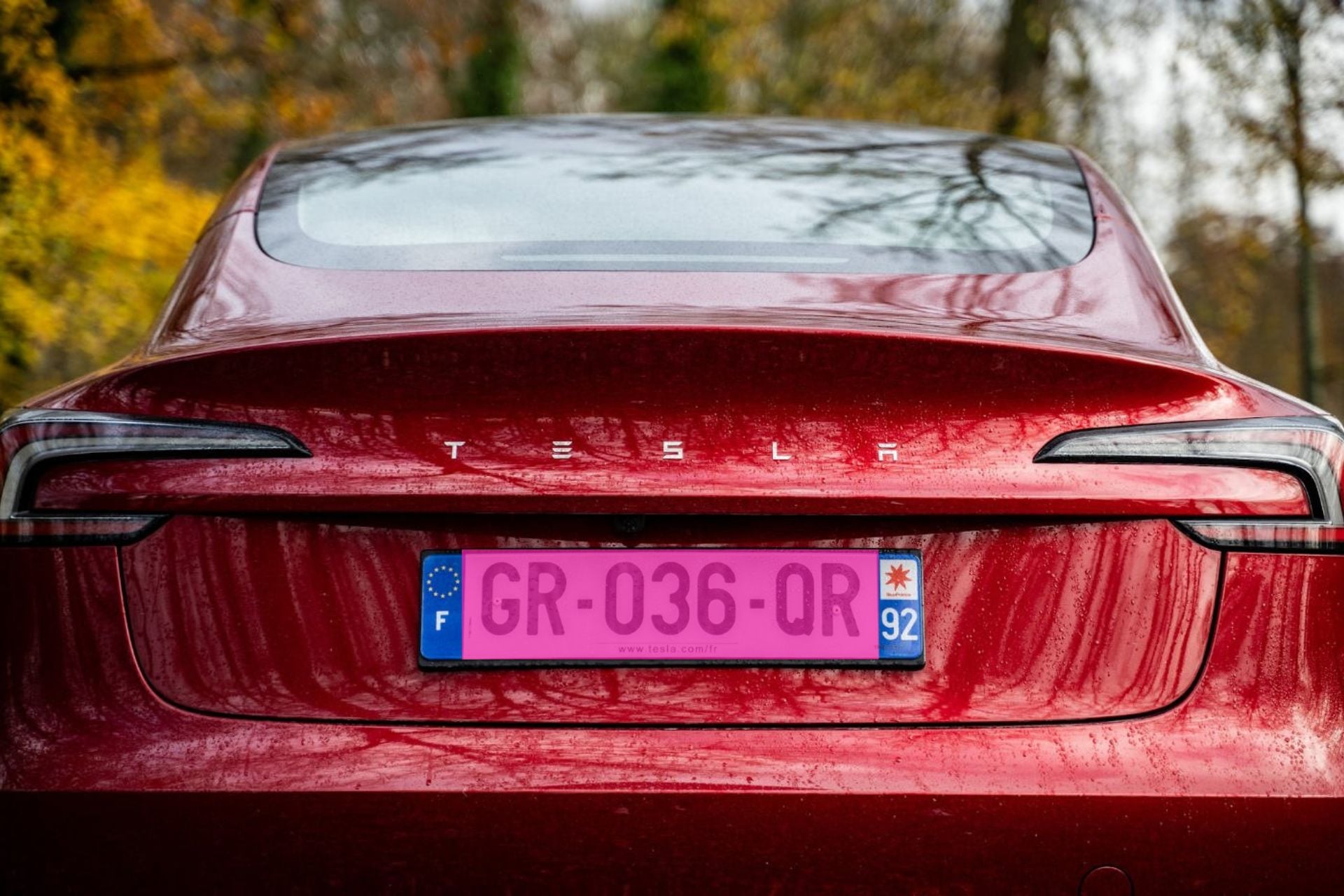 Plaques Immatriculation Roses