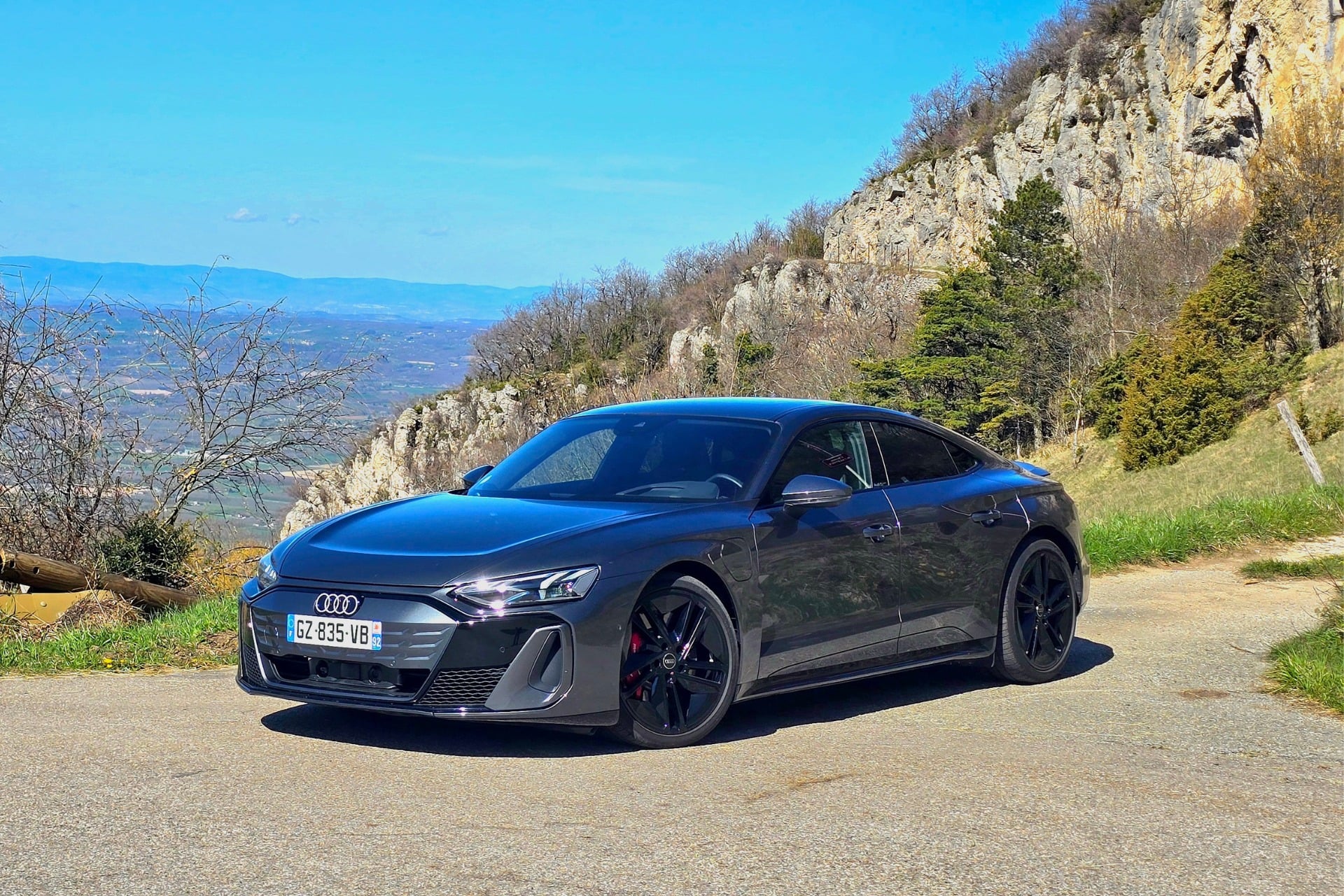 Audi S E Tron Gt (5)