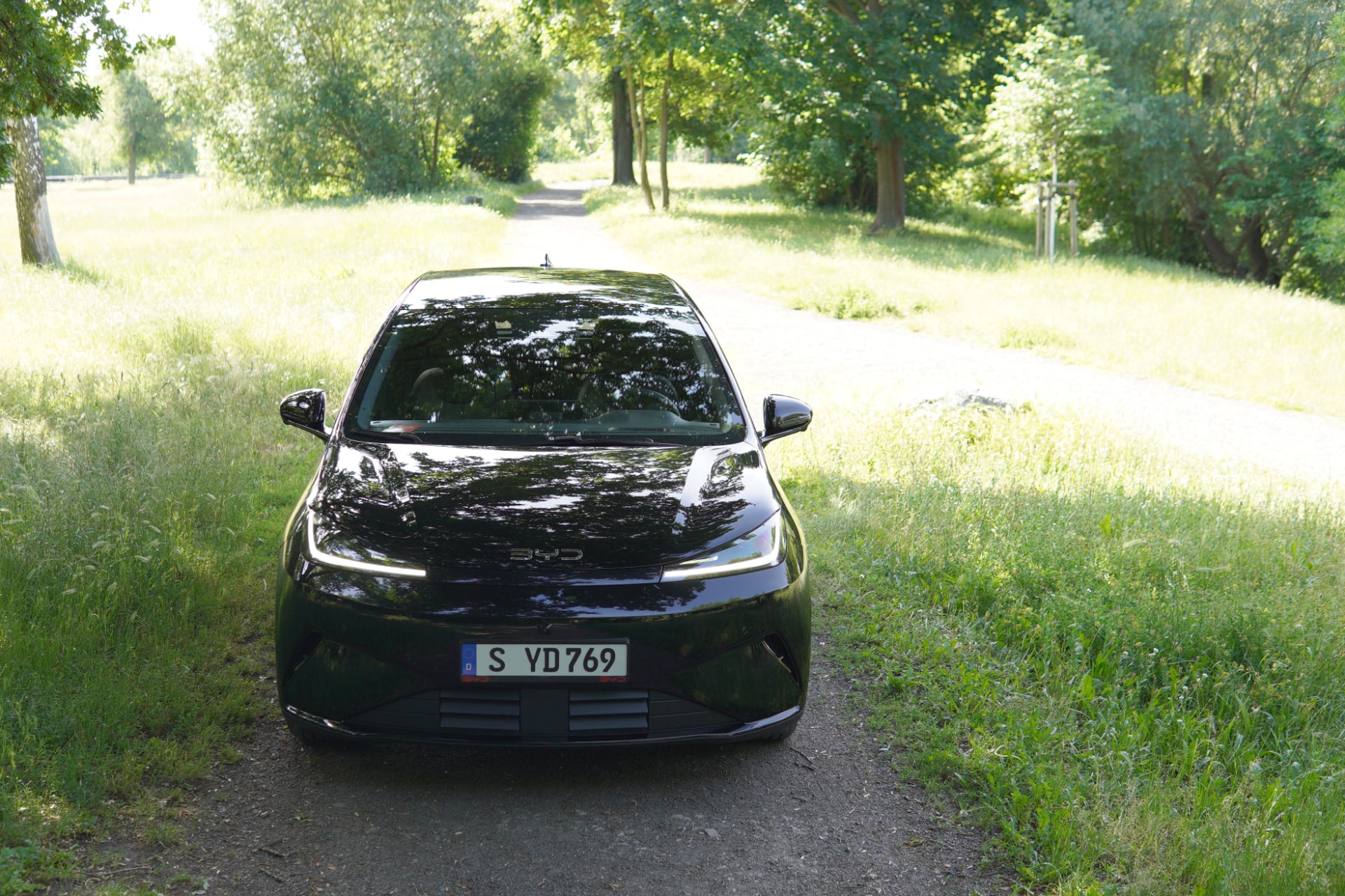 Byd Dolphin G Photo Essai